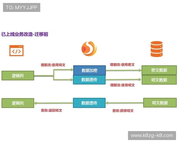 全面解析K8体育注册APP注册流程与账号安全保障措施，确保用户顺利登录体验